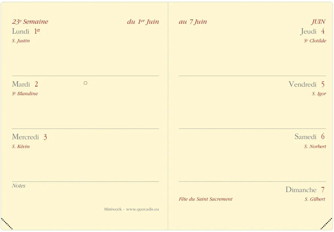 QUO-VADIS Agenda Soho Miniweek 2025 044295Q 1W/2S rot FR 7x10cm