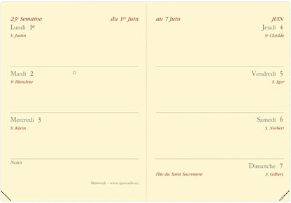 QUO-VADIS Agenda Soho Miniweek 2025 044295Q 1W/2S rot FR 7x10cm