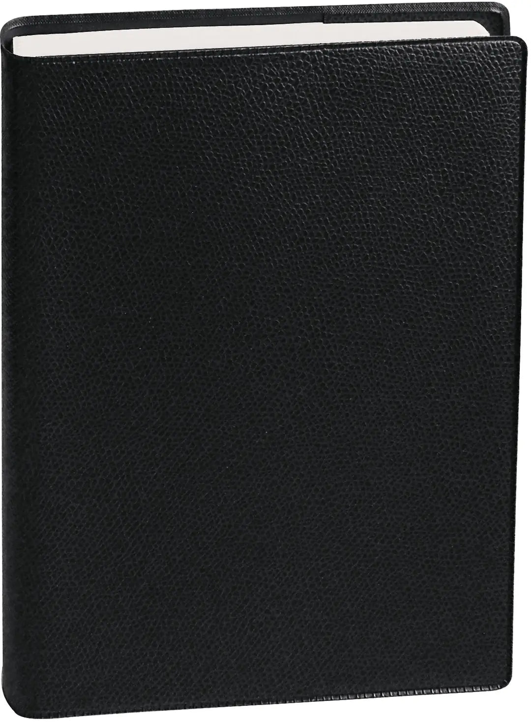 QUO-VADIS Eurotextagenda Impala 24/25 128003Q 12M, schwarz, ml 12x17cm