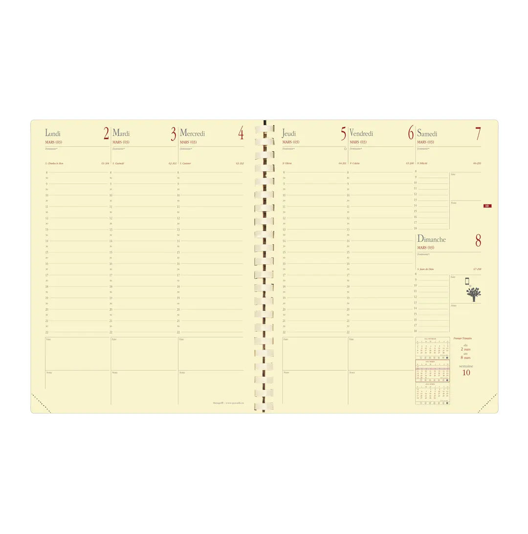 QUO-VADIS Ersatzinhalt Manager 2025 371014Q 1W/2S, 21x27cm