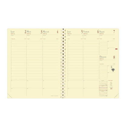 QUO-VADIS Ersatzinhalt Manager 2025 371014Q 1W/2S, 21x27cm