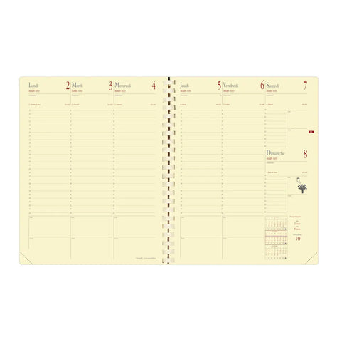 QUO-VADIS Ersatzinhalt Manager 2025 371014Q 1W/2S, 21x27cm