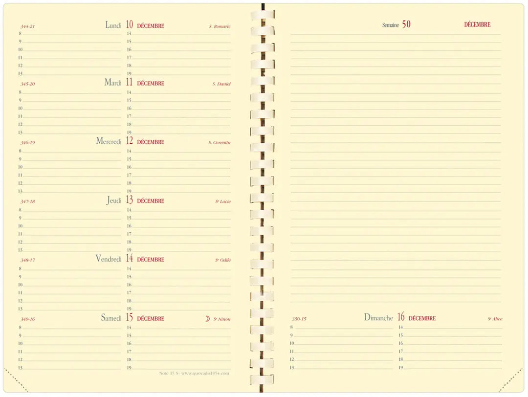 QUO-VADIS Agenda Soho Note15S 2025 679049Q 1W/2S rosa FR 10x15cm