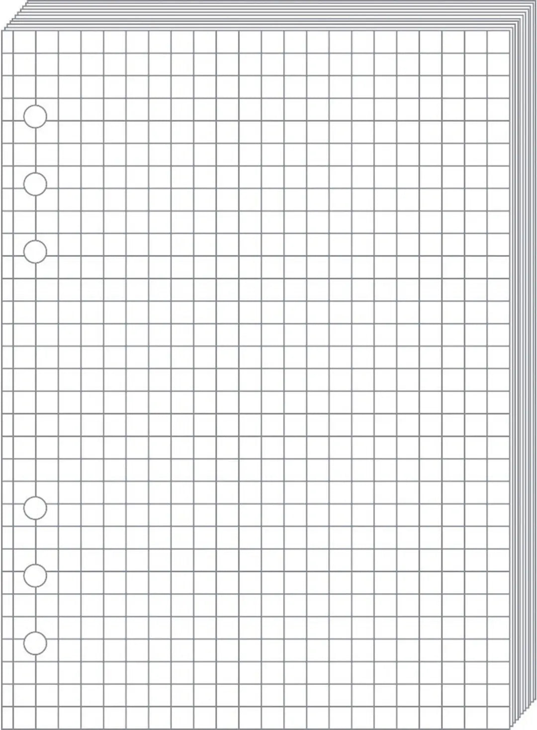 QUO-VADIS Timer21 Planing Notizen 722001Q kariert 15x21cm