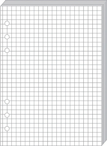 QUO-VADIS Timer21 Planing Notizen 722001Q kariert 15x21cm