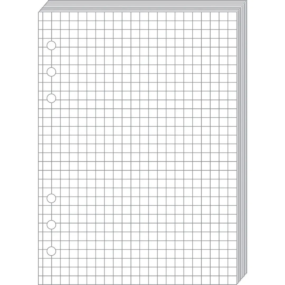 QUO-VADIS Timer21 Planing Notizen 722001Q kariert 15x21cm