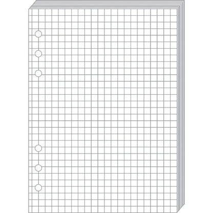 QUO-VADIS Timer21 Planing Notizen 722001Q kariert 15x21cm
