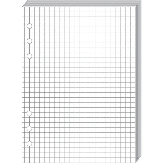 QUO-VADIS Timer21 Planing Notizen 722001Q kariert 15x21cm