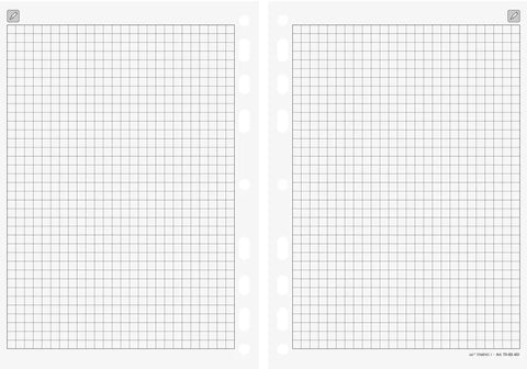 RIDOIDE Timing 1 Notizen kariert 7065451.25 32 Blatt 14.8x21cm