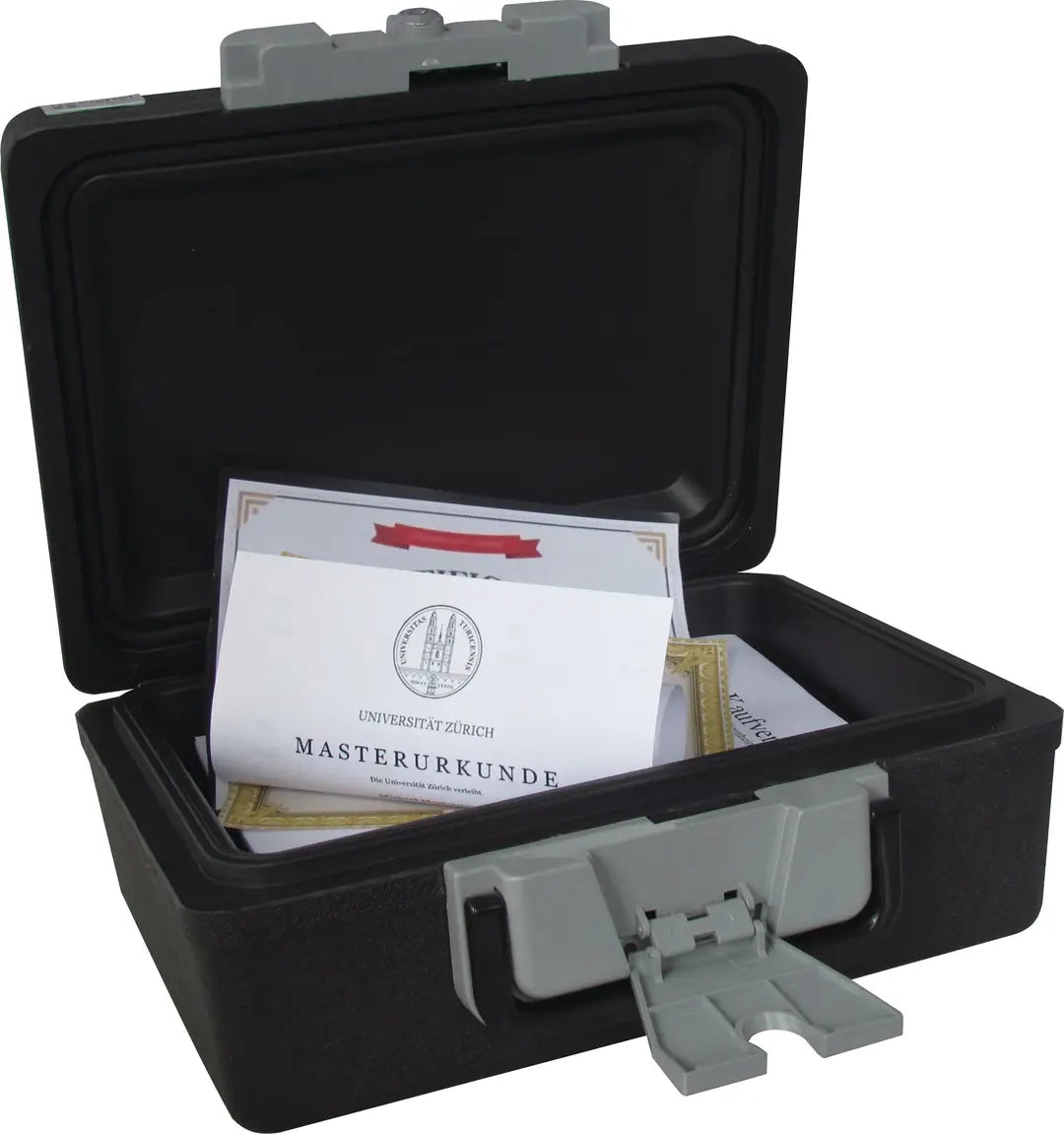 RIEFFEL SWITZERLAND Tresor SecurityCase6 SECURITYCASE 6 feuerfest 389x300x165mm