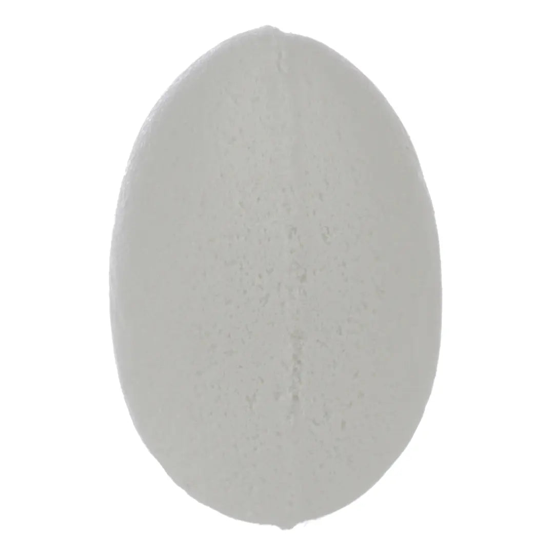ROOST Badefizzer TY749 Meerestier