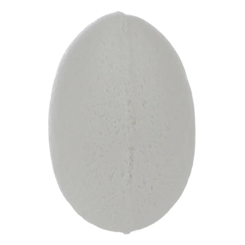ROOST Badefizzer TY749 Meerestier