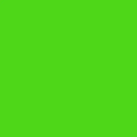 TALENS Plakatfarbe 1000ml 09716010 grün