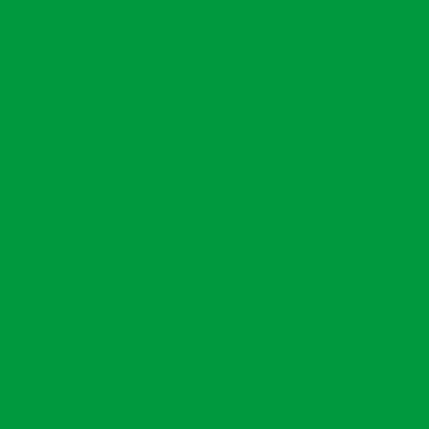 TALENS Plakatfarbe 1000ml 09716020 grün