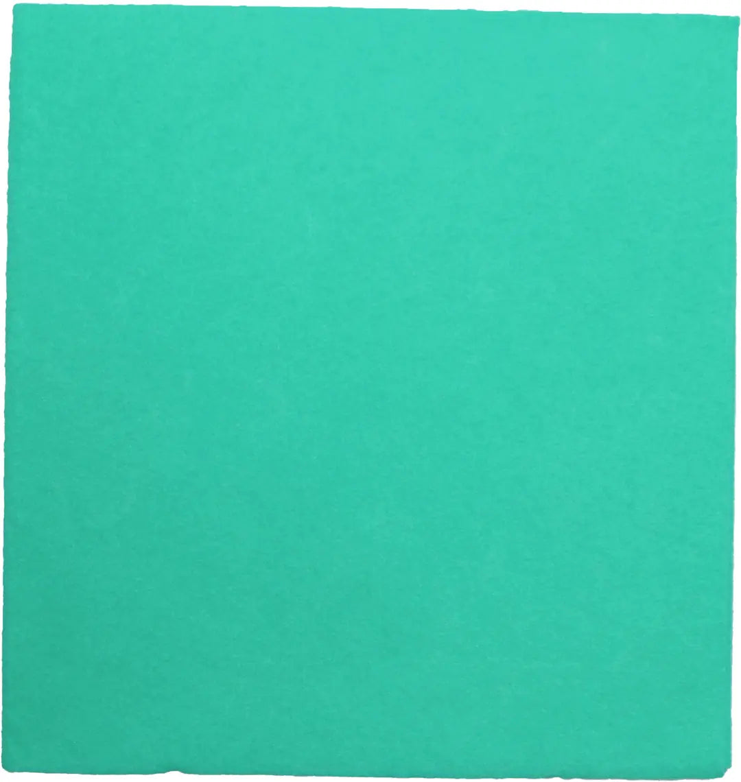 WEITACLEAN Allzwecktuch Olivia 38x40cm 721263 grün 30 Stück