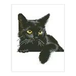Diamond Painting Schwarze Katze
