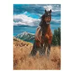 Wildpferd in Freiheit 1000 Teile