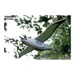 3D Bastelset Royal Albatross (MQ6)