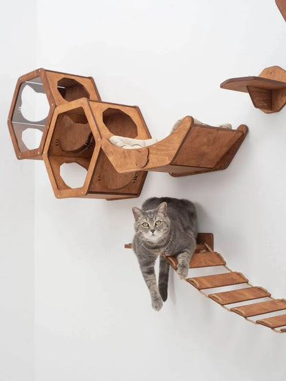 high wall cat bed