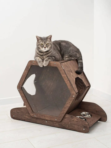 hexagon cat house