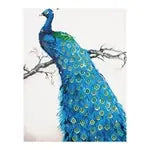 Diamond Painting Blauer Pfau