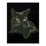 Diamond Painting Schwarze Katze