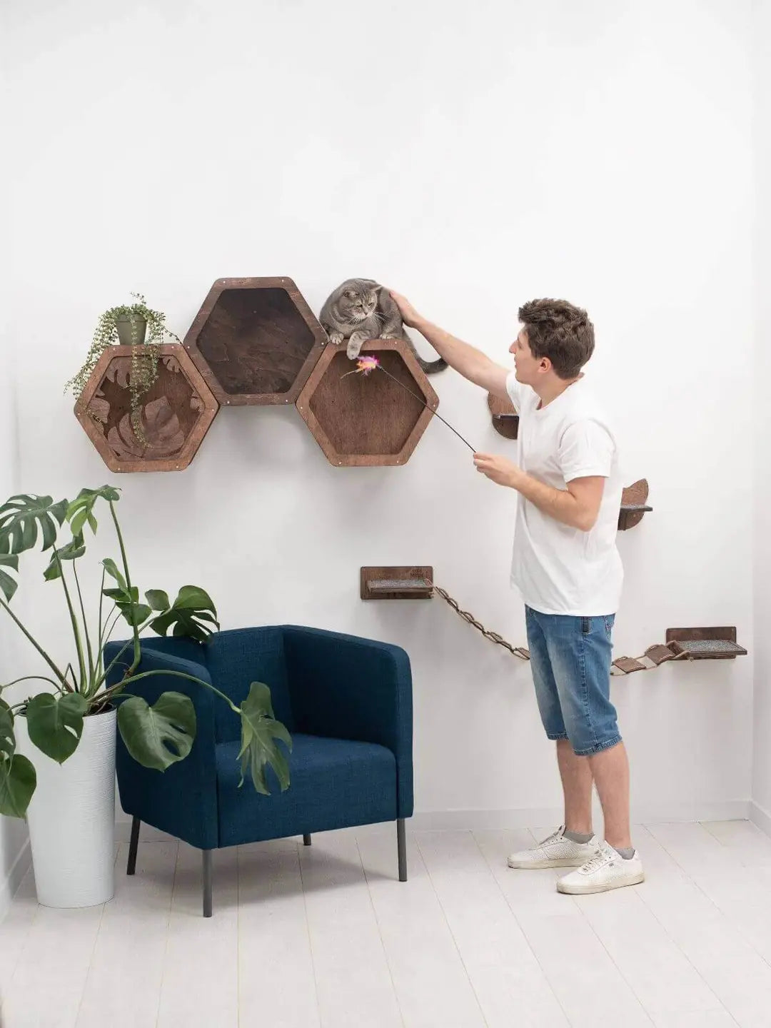 cat shelves hexagon