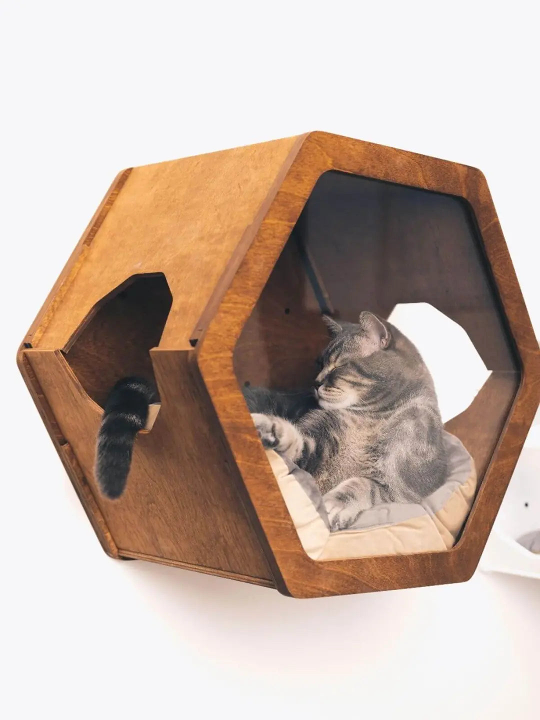 pillow for wooden cats house 