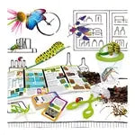 La Scienza degli insetti (i)