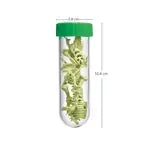 Leuchtendes T-Rex Skelett