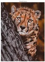 Wildtier Familien 3x1000 Teile (Donal Boyd)