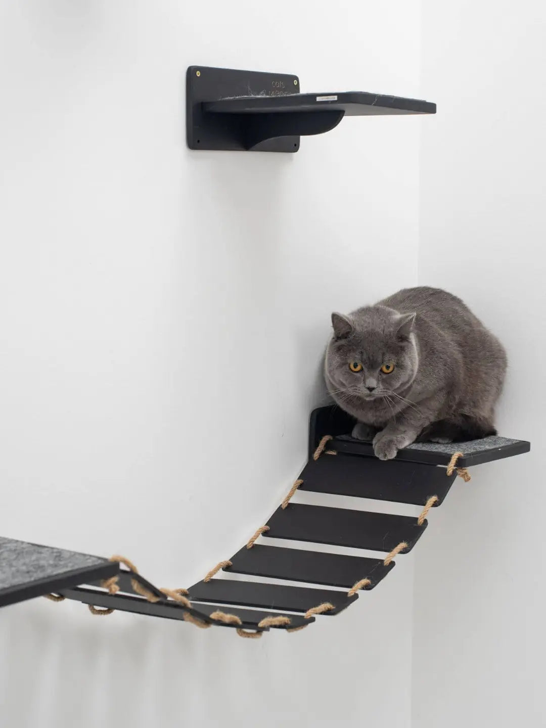 wall cat walk