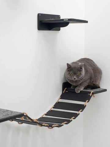 wall cat walk
