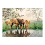 Pferdefamilie 350 Teile