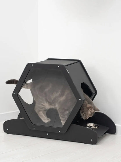 small cat house