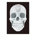 Diamond Painting Kristallschädel