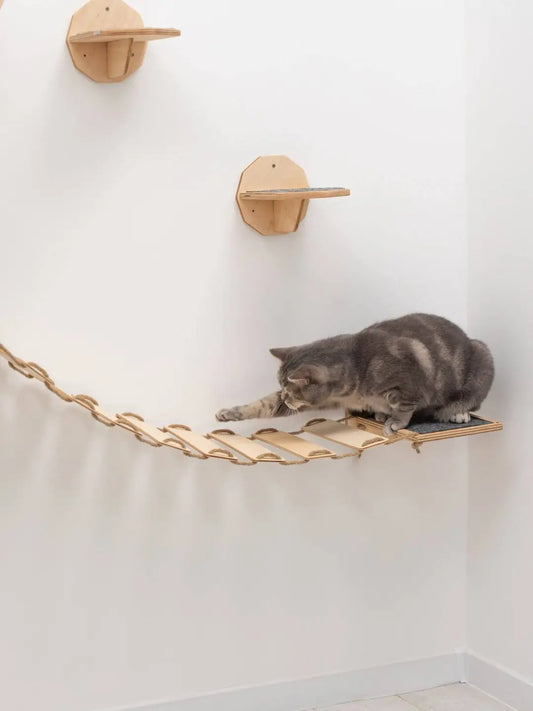 cat wall bridge