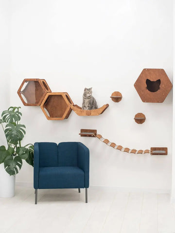 cat walk for wall