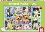 Welpen 200 Teile