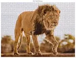 Wildtiere 3x1000 Teile (Donal Boyd)