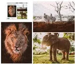 Wildtiere Afrika 3x1000 Teile (Donal Boyd)