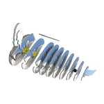 3D Bastelset Blauwal (MQ6)