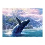 Buckelwal im Glacier Bay