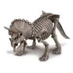 Dino Ausgrabungs - Set Triceratops