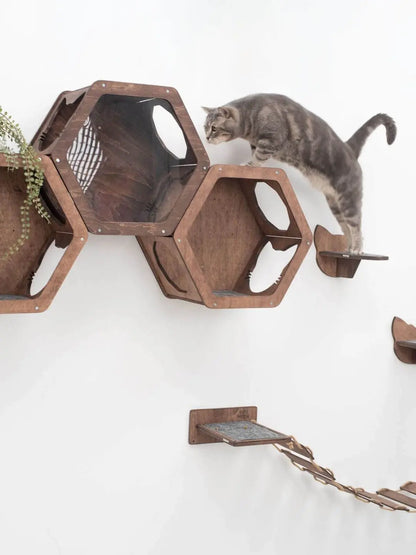 cat shelves