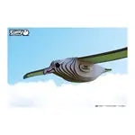 3D Bastelset Royal Albatross (MQ6)