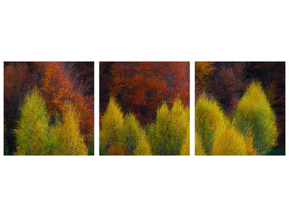 Panorama Leinwandbild 3-teilig Nimbrethil