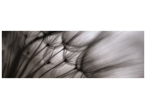 Leinwandbild Panorama Dandelion