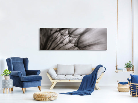 Leinwandbild Panorama Dandelion