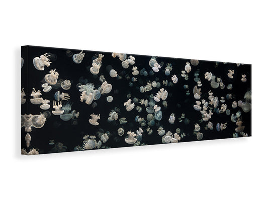 Leinwandbild Panorama Just Some Jellies